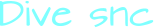 Dive snc